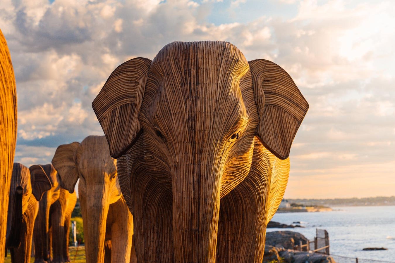 Great Elephant Migration Across America Begins In Newport, RI