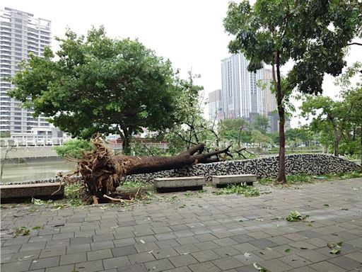 凱米狂風愛河之心慘成廢墟 工作人員嘆「很嚴重」 - 生活