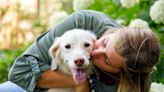 Enalapril for Dogs: Uses, Dosage, and Side Effects