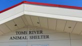 Toms River council dumps mayor's plan to privatize animal control