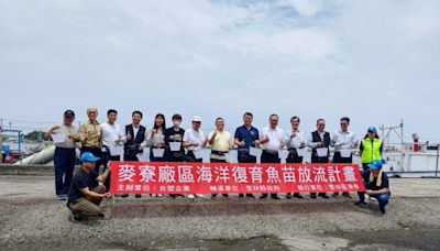 台塑麥寮海域放流魚苗！17年破800萬尾 在地漁獲逐年增加