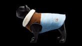 Moncler’s Latest Collab Is a Colorful Outerwear Collection for Your Dog