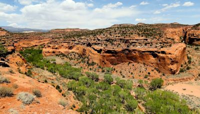 CNN called Grand Staircase-Escalante an underrated destination. What makes the monument special?