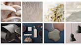 Mycel's mushroom-based biomaterials sprout $10M in funding