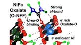 Breakthrough Catalyst Turns Sewage Into Clean Energy