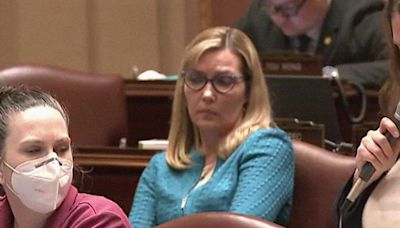 Minnesota State Sen. Nicole Mitchell releases new statement, 911 transcript in burglary arrest released