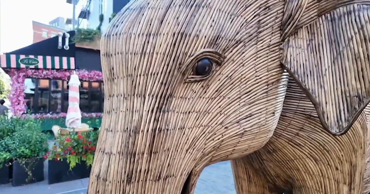 Why are 'elephants' parading around NYC?