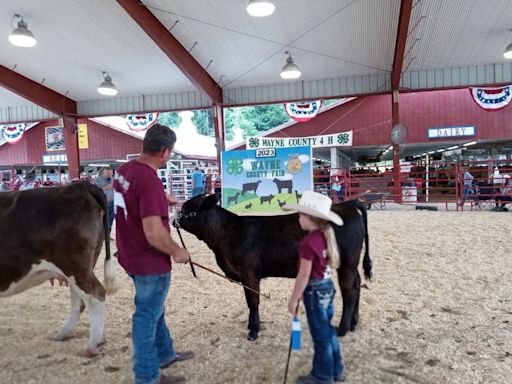 The Wayne County Fair 4-H, FFA Junior Livestock Sale is one of the biggest in the state