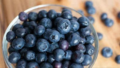 This might be your jam | See competitors try to break world record for eating blueberries in Grand Rapids