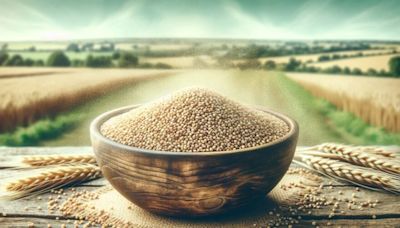 Bill Gates Says Americans Are Obsessed With Wheat And Corn But This Lost Grain From Africa Is The 'Future Of Food...