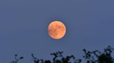 The exact time the Strawberry Moon will be visible in London this weekend