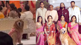 And The Best Dressed Award At Anant Ambani And Radhika Merchant’s Wedding Goes To...