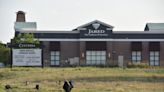 Meet the wild turkeys taking up residence near one of Loveland's busiest intersections