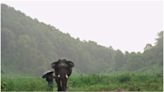 Wayanad Landslide: A woman and her family receive support from elephant, say 'tears rolled down its eyes'