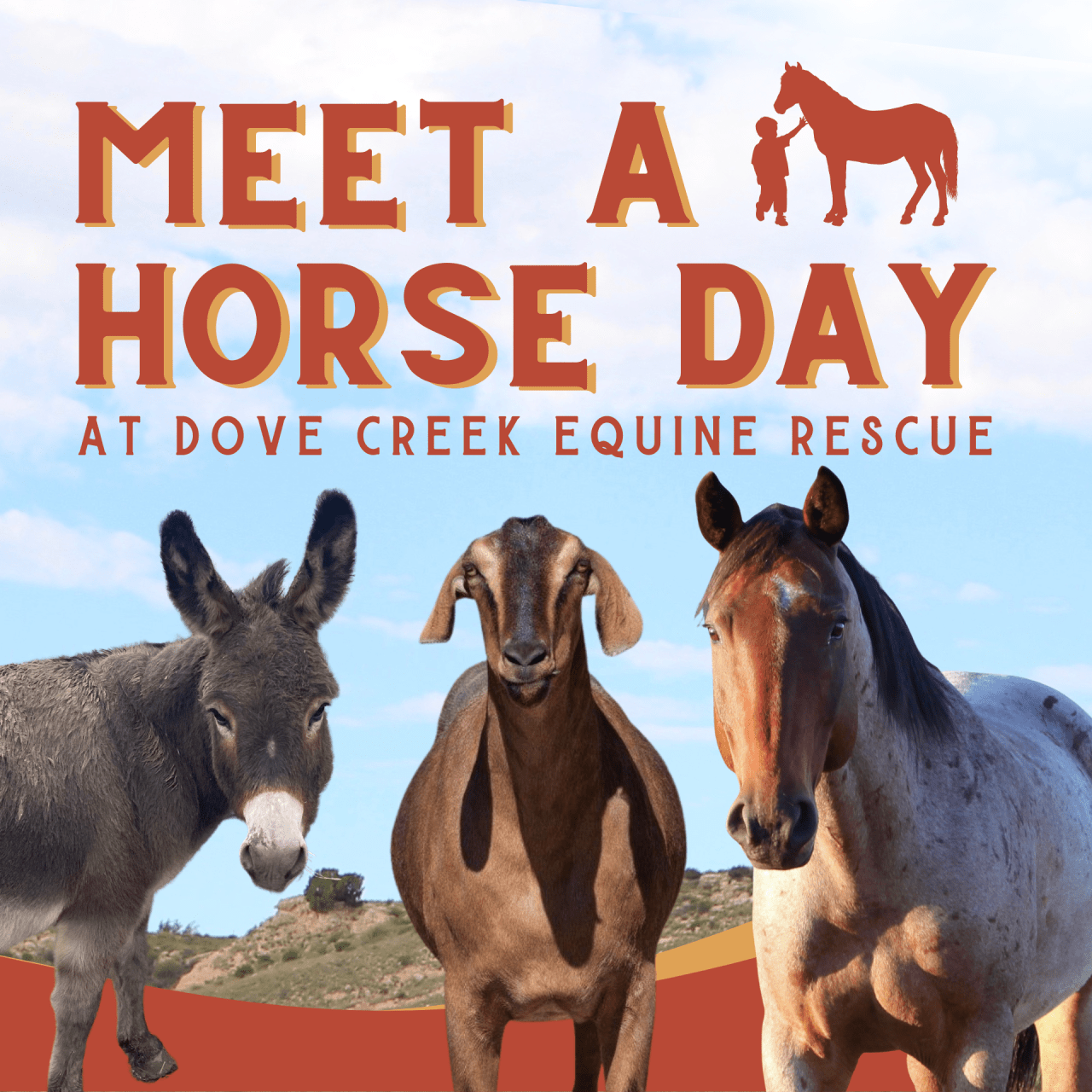 Dove Creek Equine Rescue ‘Meet a Horse’ day on May 18
