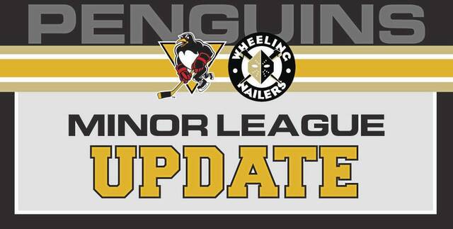 Minor league report: Nailers drop Game 1 to Walleye in overtime