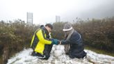 最強寒流發威 陽明山、烏來飄雪了