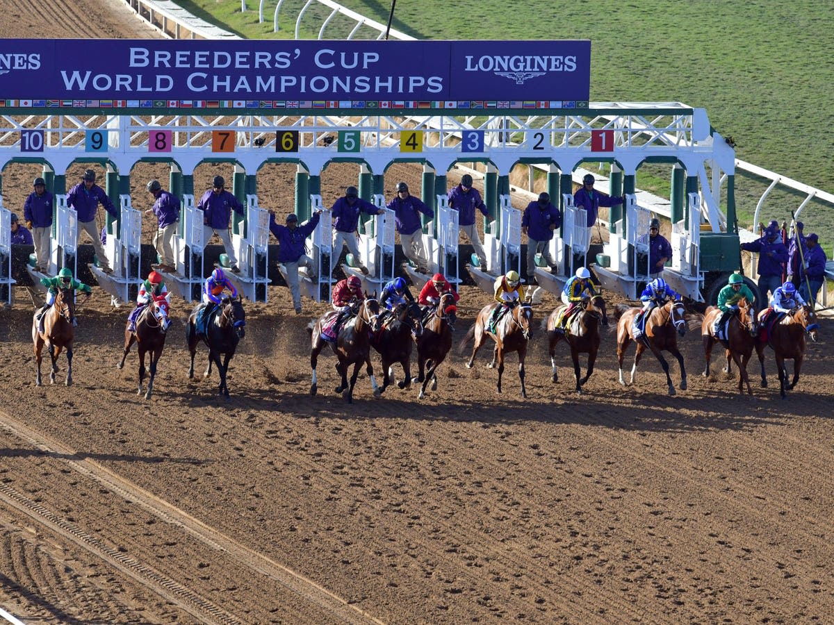 Biggest Summer Breeders’ Cup Challenge Races Ahead Of 2024 World Championships At Del Mar