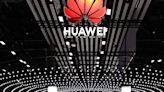 US plan to purge Huawei from telecom networks stalled by funding shortfall