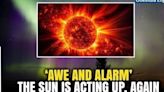 Massive Solar Storm To Disrupt World Communication? 5 Key Things To Know About Today's Solar Flares