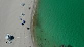 Florida sea temperatures hit mid-90s, threatening marine life