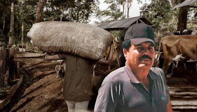 Detienen al ‘Mayo’ Zambada: ¿Cómo un campesino se volvió líder del Cártel de Sinaloa? Esta es la historia