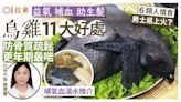 烏雞功效｜益氣血防脫髮11好處推介1湯水 6類人慎食 男士易上火?