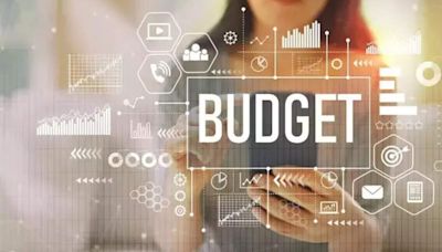 Mixed industry reactions to Budget 2024: Gains in infrastructure, shortcomings in policy reforms - ET TravelWorld