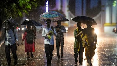 Kerala To Receive 'Very Heavy' Rain, Orange Alert In 3 Districts. Check IMD Forecast