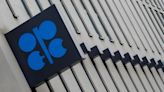 Kremlin: OPEC+ important to global energy market stability