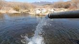 Utah stocked reservoirs with more than 8 million fish in 2022