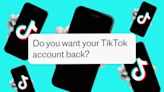 ‘Hackers hijacked my TikTok account – now they are holding it to ransom’