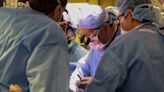 The Startup Behind The First Pig-Human Kidney Transplant Is Targeting Hearts And Livers Next