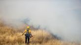 Record number of acres burned on national forest land in California