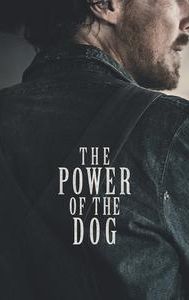 The Power of the Dog (film)