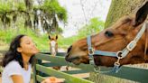 There are 3 equestrian experiences in Beaufort County, SC? Take a look