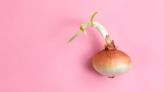 The Ultimate Guide To Sprouted Onions
