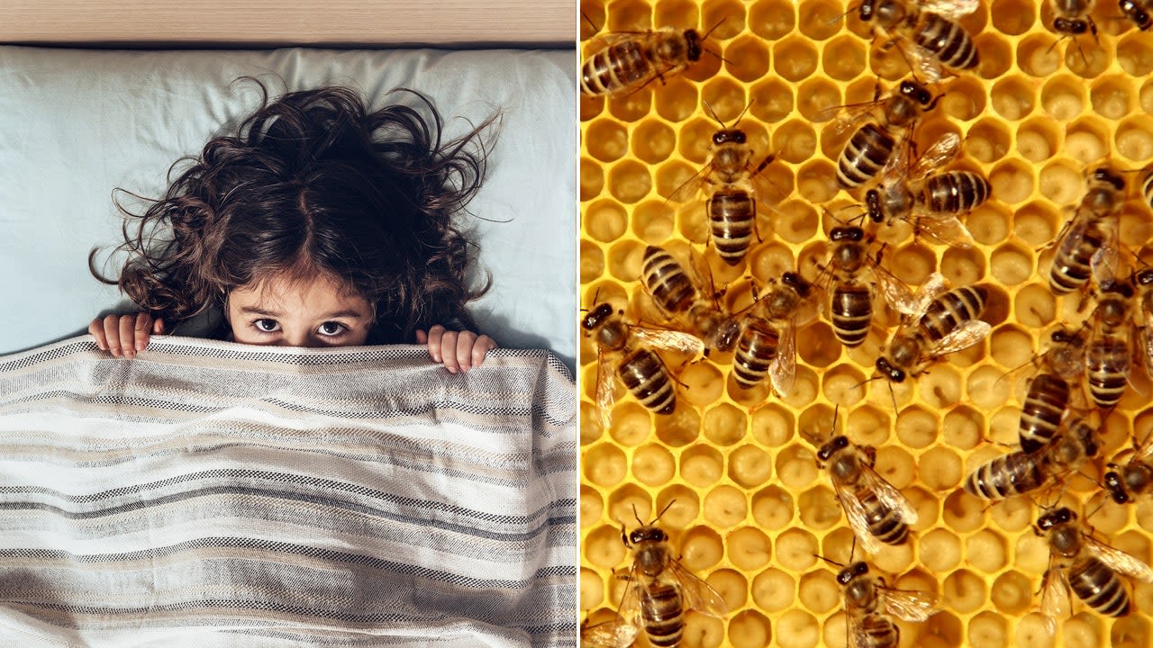 North Carolina child says she hears 'monsters' in the wall, turns out to be 50K buzzing bees