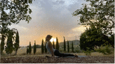 A Morning Yoga Routine That Moves You in All the Ways You Need