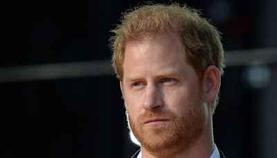 Prince Harry's Fears for Prince Archie & Princess Lilibet Prove He Will Never Be the Same