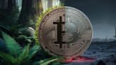 Will the Bitcoin Halving Make BTC's Environmental Impact Better—or Worse? - Decrypt