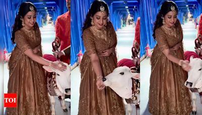 Shreya Ghoshal’s playful video caressing calves at Anant Ambani-Radhika Merchant wedding will melt your heart | Hindi Movie News - Times of India