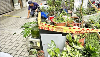 台中情趣水仗墜樓案／疑用「孵蛋機」大麻煙彈助興