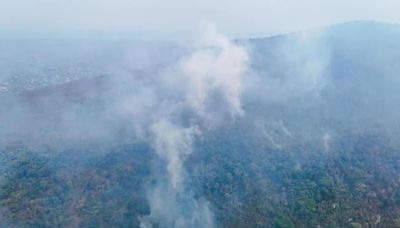 Fuego sigue sin control en Mitla y Díaz Ordaz; 24 incendios activos consumen bosques de Oaxaca