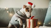 Lubbock's Holiday Gift Guide for pets: Where to buy the purr-fect present