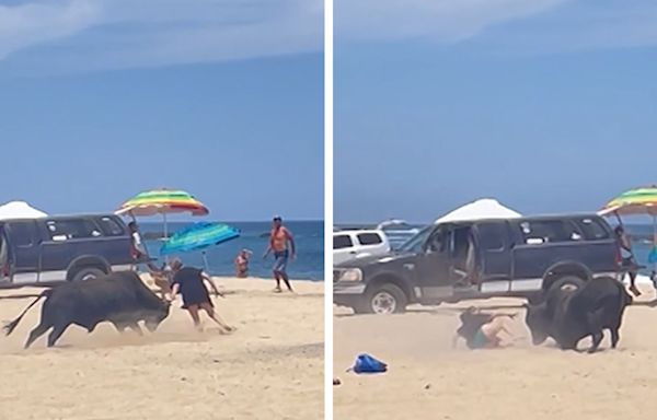 Bull Attacks Female Tourist on Cabo Beach, Horrifying Video