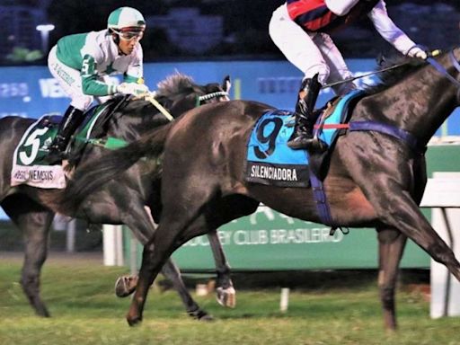 Associação critica veto à corrida de cavalos: 'Cidade tem problemas mais urgentes'