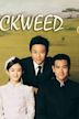 Duckweed (film)