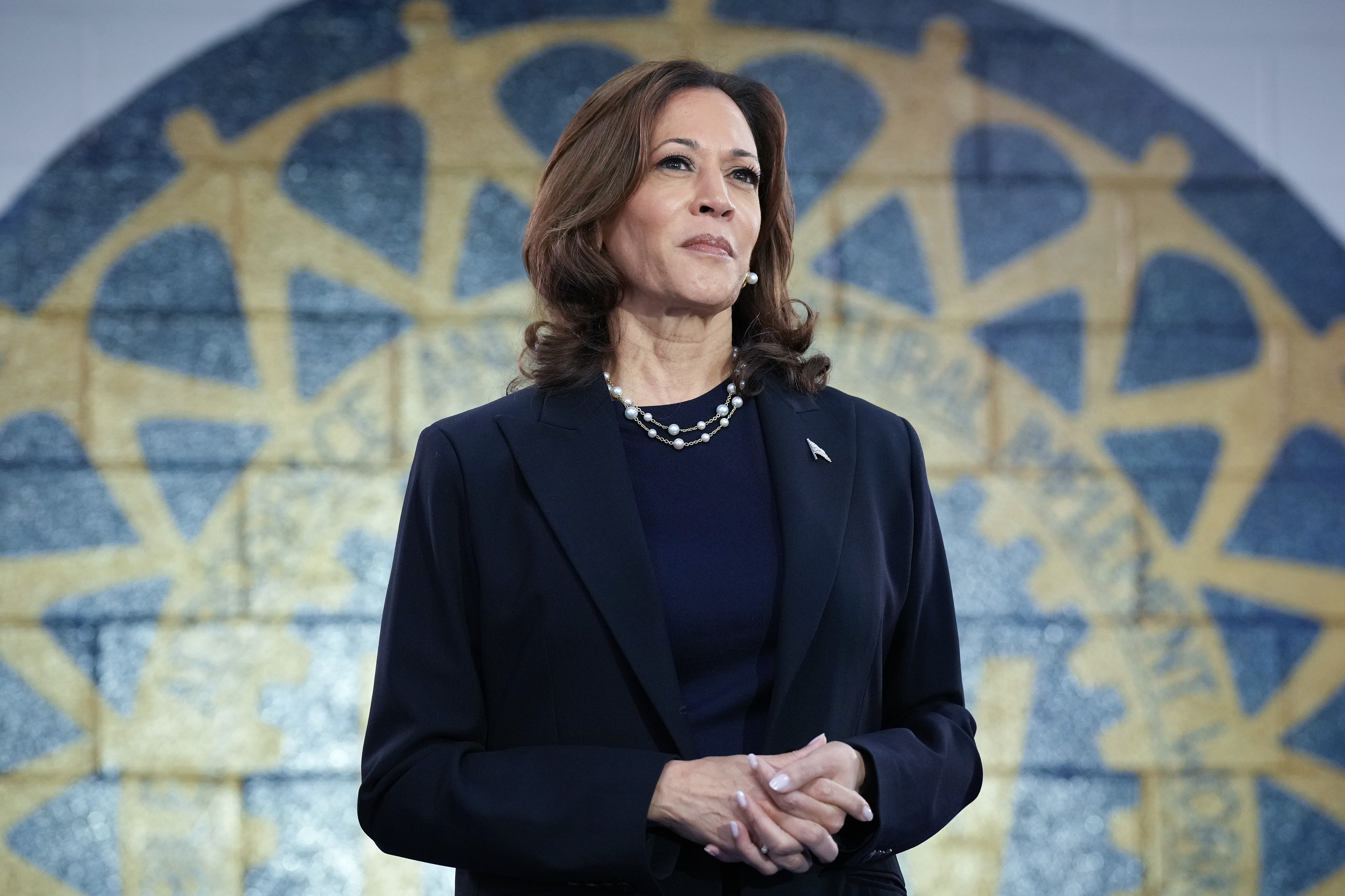 Kamala Harris Endorsed for President by 88 Business Leaders Including James Murdoch, Peter Chernin, Mark Cuban, Barry Diller