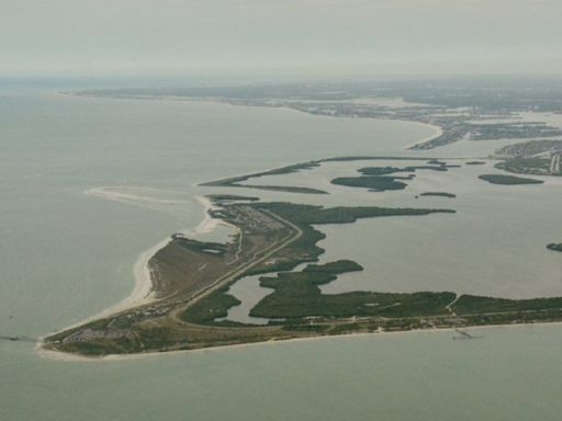 Fort De Soto Park named a top 10 dog-friendly beach by USA Today